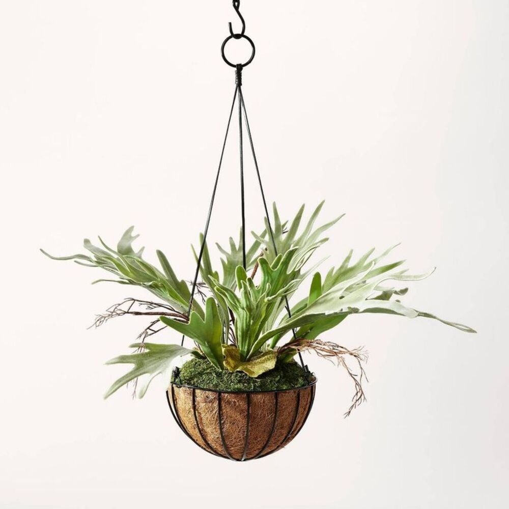 13" Artificial Hanging Staghorn Plant - Hilton